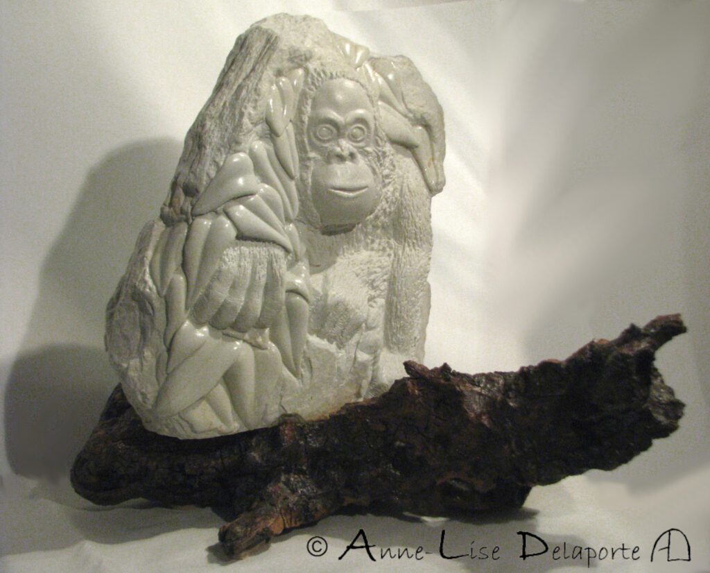 elfy-ALD_velu-feuillu